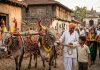 दिनांक १० सप्टेंबर – बैलपोळा, पिठोरी अमावस्या व ऐतिहासिक घटना