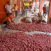 कांद्याच्या दरात पंचवीस रुपयांनी वाढ